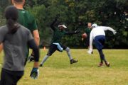 OTFL Gallery Image